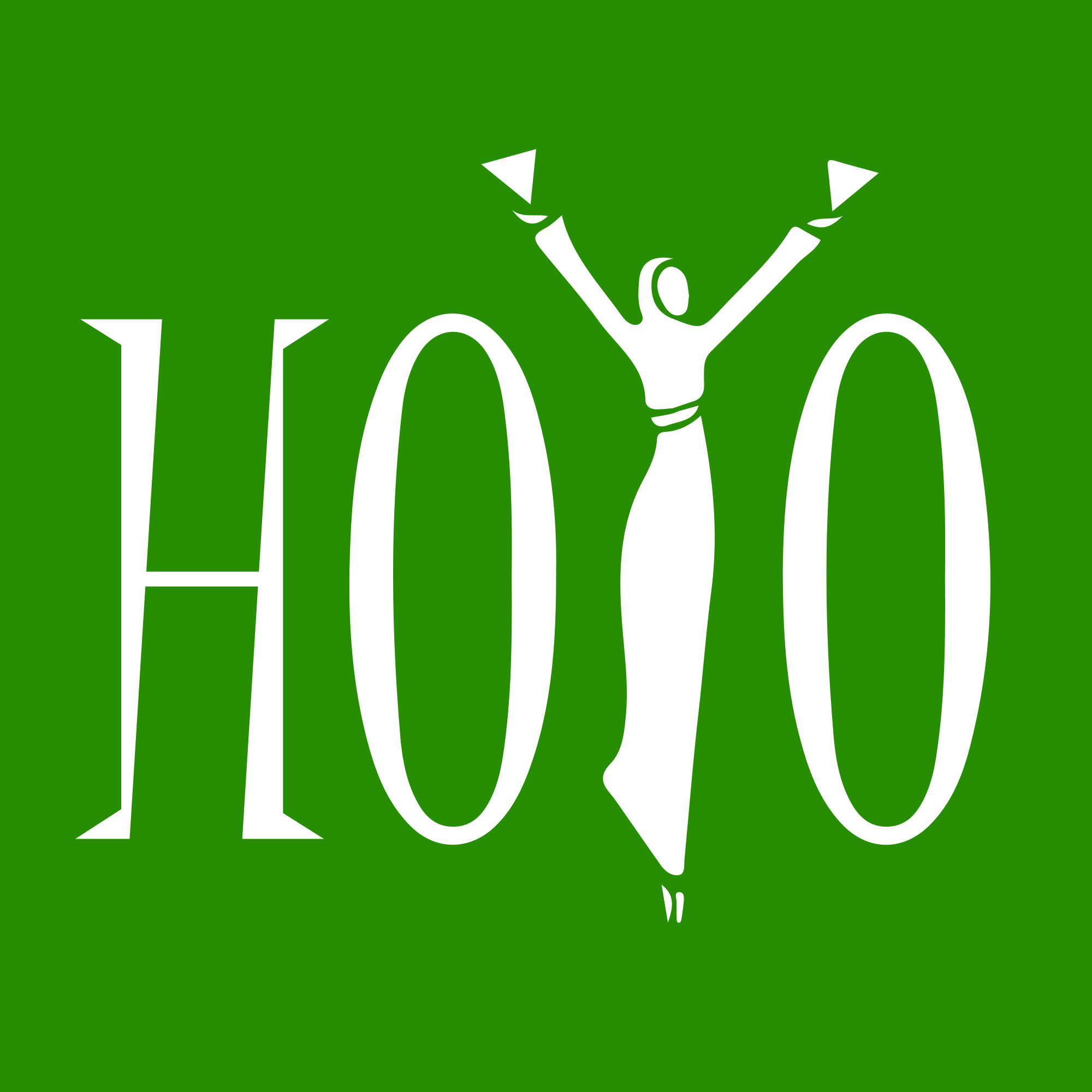 Hoyo logo