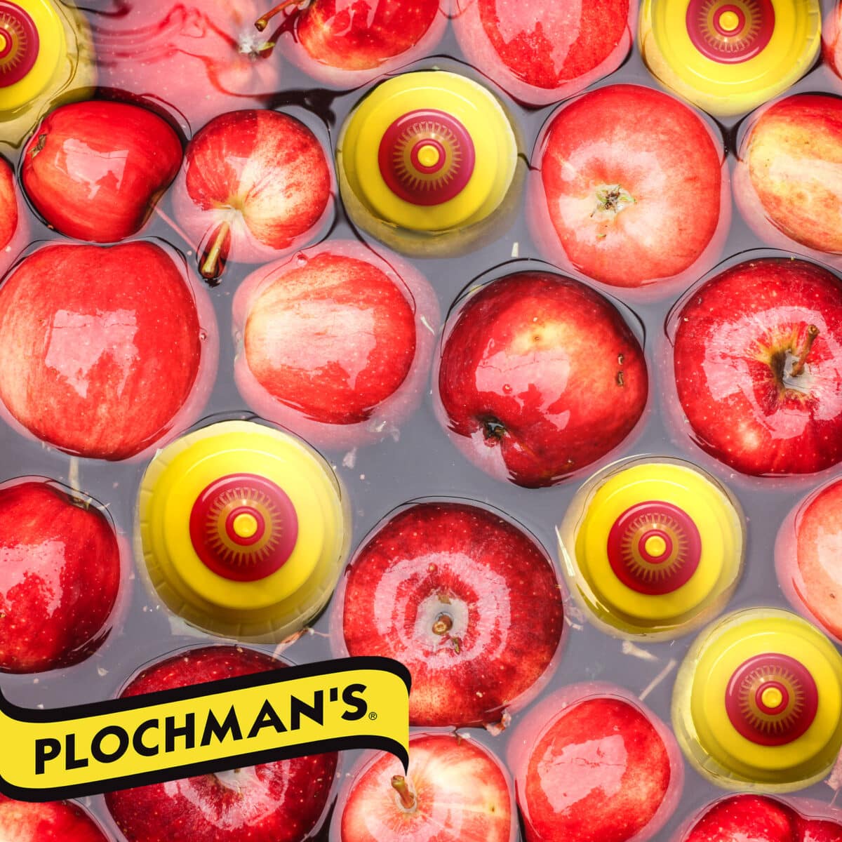Bucket of apples and mustard bottles in water